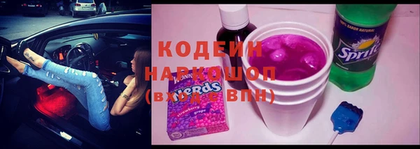 дурь Гусев