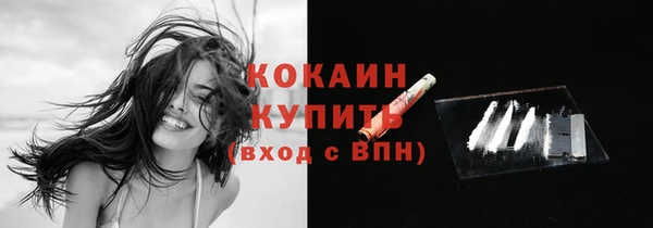 спайс Менделеевск